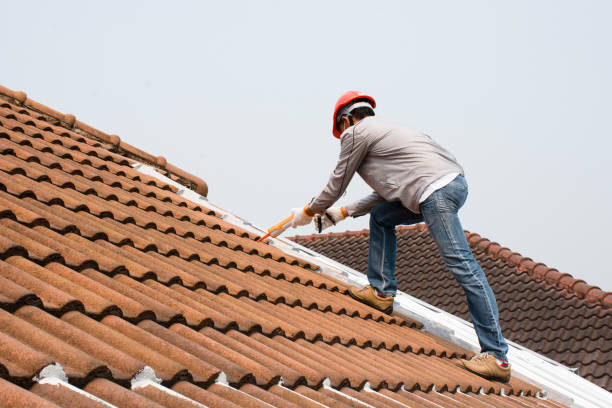 Best Roof Ventilation Installation  in China, TX